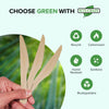 Eco-Craze - Wooden Knife - Individually Paper Wrapped