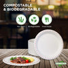 Eco-Craze - 10