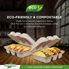 Eco-Craze - Taco - Bagasse Hinged Container - 3 COMPARTMENT