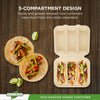 Eco-Craze - Taco - Bagasse Hinged Container - 3 COMPARTMENT