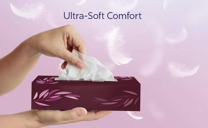 Mayfair - 2ply White Facial Tissue- 100 shts. - 5672