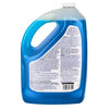 Windex - Glass Cleaner - Original