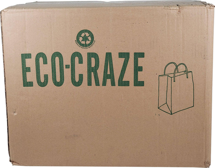 CLR - Eco-Craze - White Paper Flat Handle Bag - 13x7x17