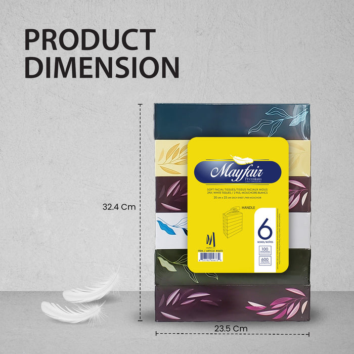 Mayfair - 2ply White Facial Tissue- 100 shts. - 5672