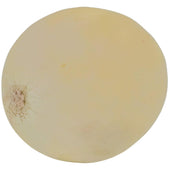 Fresh - Honeydew - Large Fresh - Honeydew - Large