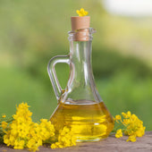 Capri - Canola Oil Pail Capri - Canola Oil Pail