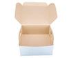 EB - White Cake Boxes - 9x6x2½