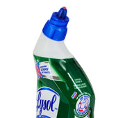 Lysol - Toilet Cleaner - w/Bleach