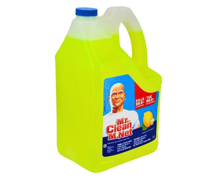 Mr. Clean - All Purpose Cleaner