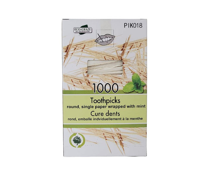 Eco-Craze - Bamboo Toothpick - Mint - Paper Wrap - P2-65M