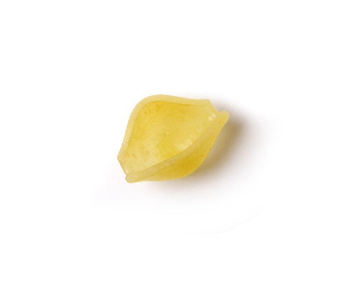 Italpasta - Baby Shells - 2235