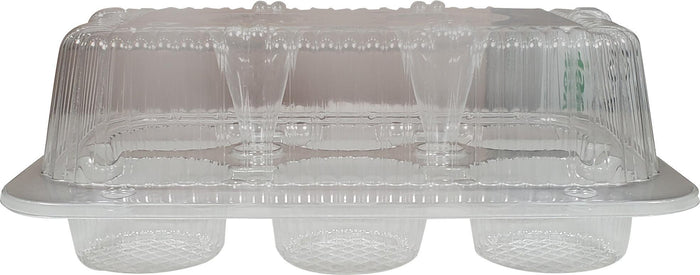 CLR - ParPak - Cupcake Container for 6 Pieces - 02020