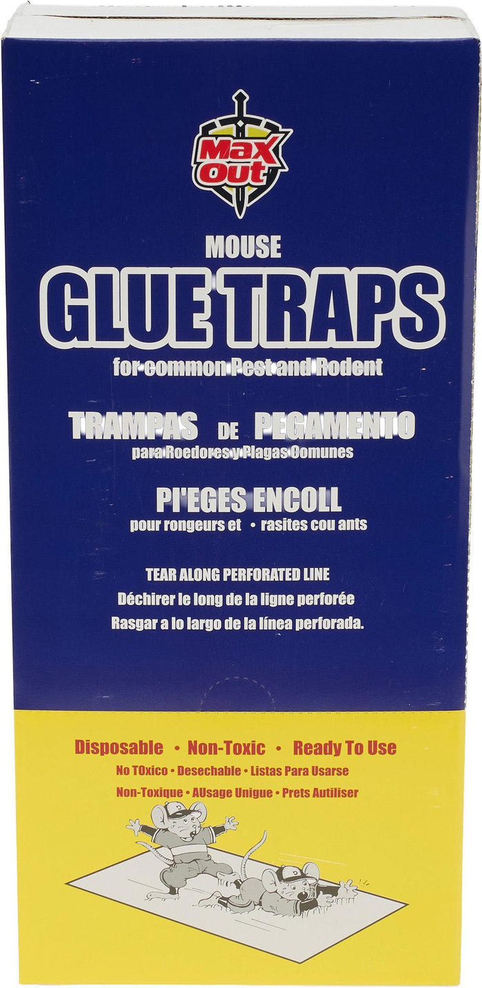 Maxout - Mouse Glue Trap Paper Board
