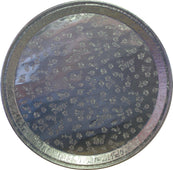 SO - D&W - 12