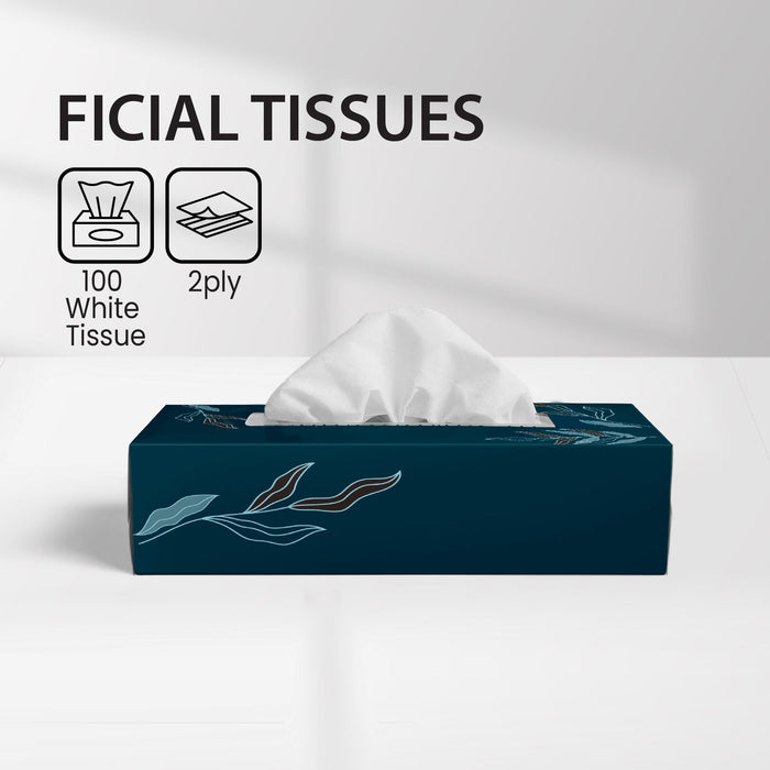 Mayfair - 2ply White Facial Tissue - 5672