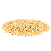 Pine Nut Kernels