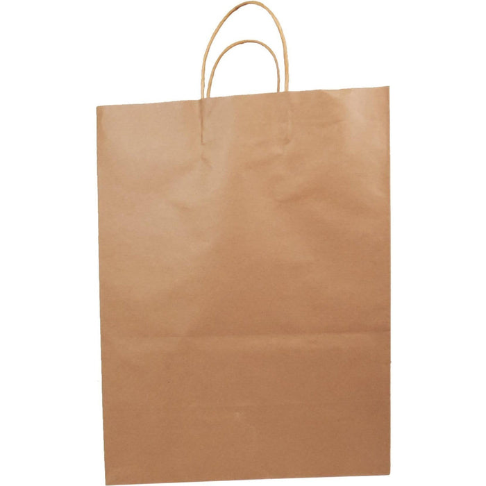 Eco-Craze - 13x7x17 Kraft Paper Bag - Twisted Handle